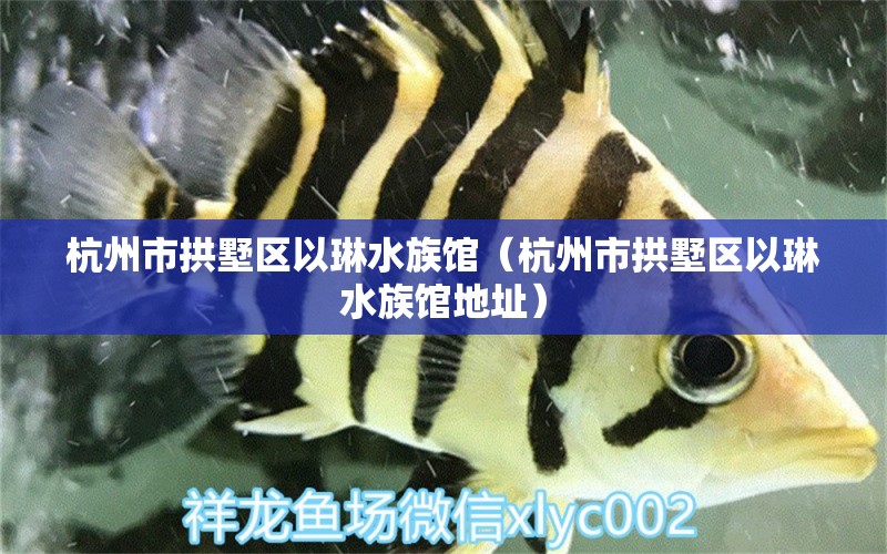 杭州市拱墅區(qū)以琳水族館（杭州市拱墅區(qū)以琳水族館地址）