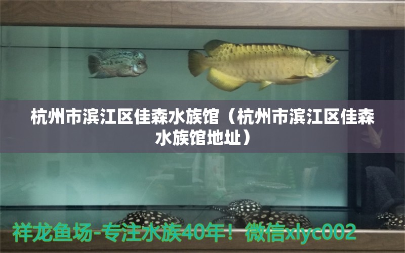 杭州市濱江區(qū)佳森水族館（杭州市濱江區(qū)佳森水族館地址） 全國(guó)水族館企業(yè)名錄