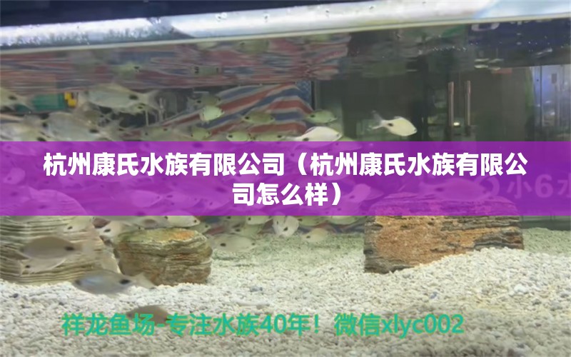 杭州康氏水族有限公司（杭州康氏水族有限公司怎么樣）