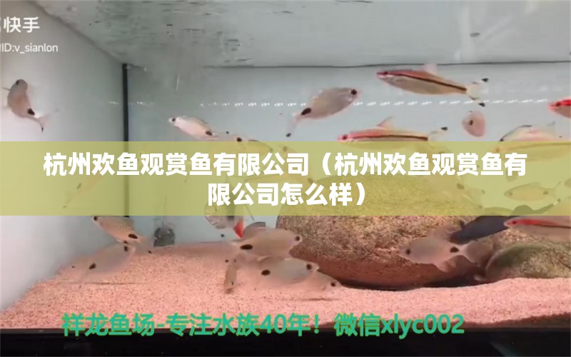 杭州歡魚(yú)觀賞魚(yú)有限公司（杭州歡魚(yú)觀賞魚(yú)有限公司怎么樣） 全國(guó)水族館企業(yè)名錄