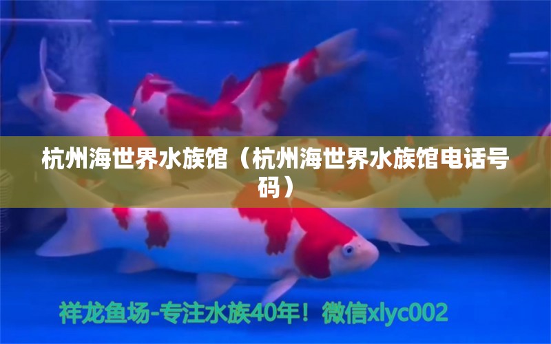 杭州海世界水族館（杭州海世界水族館電話號(hào)碼）