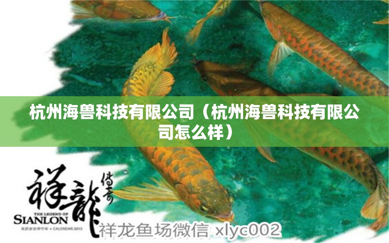 杭州海獸科技有限公司（杭州海獸科技有限公司怎么樣）