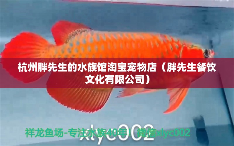 杭州胖先生的水族館淘寶寵物店（胖先生餐飲文化有限公司）