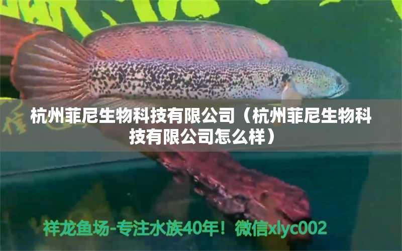 杭州菲尼生物科技有限公司（杭州菲尼生物科技有限公司怎么樣）