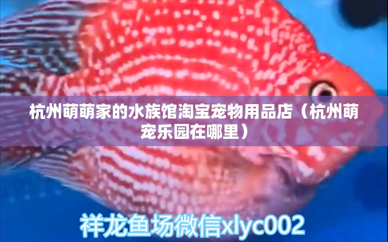 杭州萌萌家的水族館淘寶寵物用品店（杭州萌寵樂園在哪里） 全國水族館企業(yè)名錄