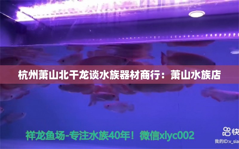 杭州蕭山北干龍談水族器材商行：蕭山水族店