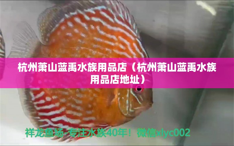 杭州蕭山藍(lán)禹水族用品店（杭州蕭山藍(lán)禹水族用品店地址） 水族用品