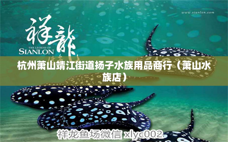 杭州蕭山靖江街道揚(yáng)子水族用品商行（蕭山水族店） 水族用品