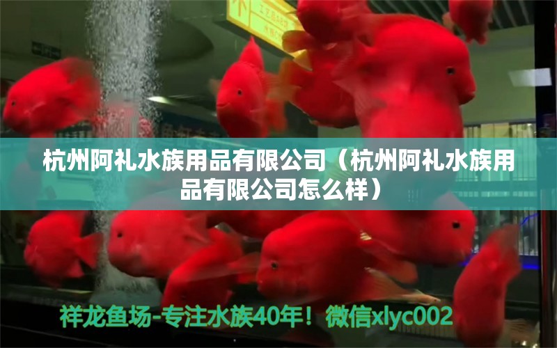 杭州阿禮水族用品有限公司（杭州阿禮水族用品有限公司怎么樣） 水族用品