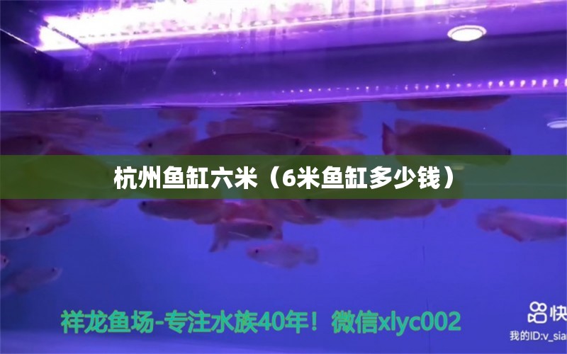 杭州魚(yú)缸六米（6米魚(yú)缸多少錢(qián)） 其他品牌魚(yú)缸