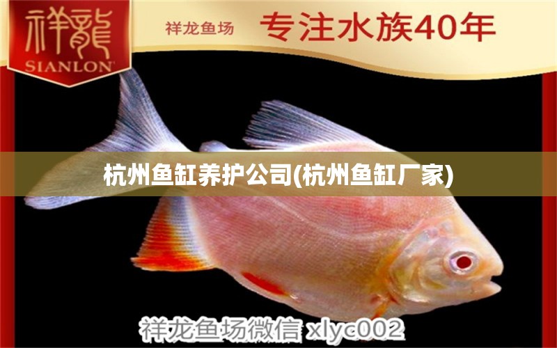 杭州魚缸養(yǎng)護(hù)公司(杭州魚缸廠家) 生態(tài)瓶/創(chuàng)意缸/桌面微景缸