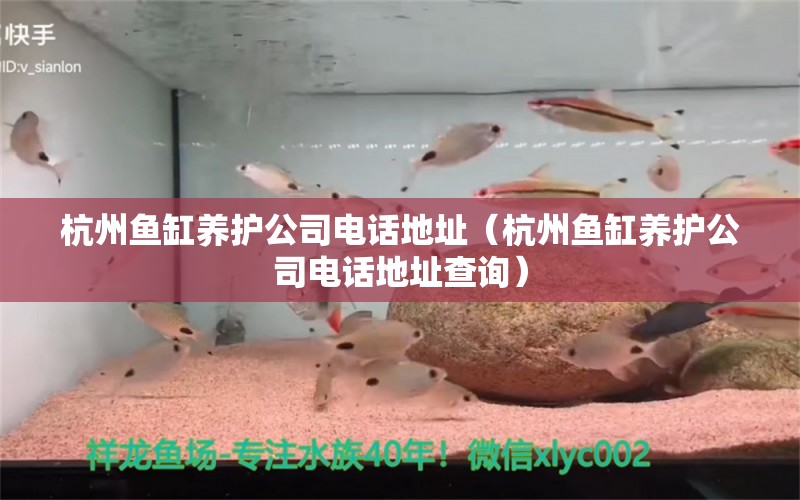 杭州魚(yú)缸養(yǎng)護(hù)公司電話地址（杭州魚(yú)缸養(yǎng)護(hù)公司電話地址查詢）