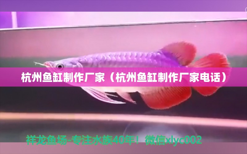 杭州魚缸制作廠家（杭州魚缸制作廠家電話）