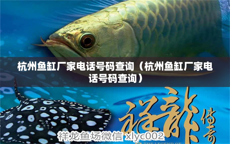 杭州魚缸廠家電話號(hào)碼查詢（杭州魚缸廠家電話號(hào)碼查詢）