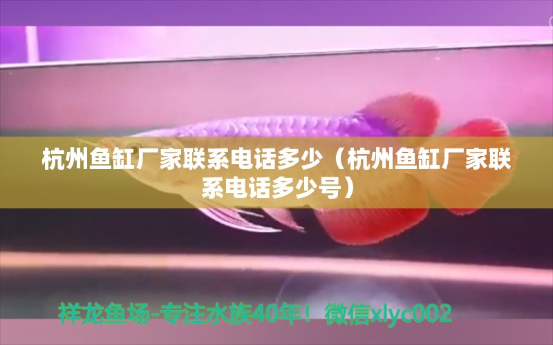 杭州魚缸廠家聯(lián)系電話多少（杭州魚缸廠家聯(lián)系電話多少號(hào)）