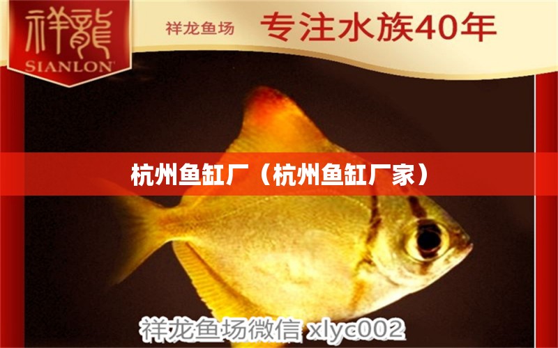 杭州魚缸廠（杭州魚缸廠家）