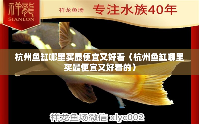 杭州魚(yú)缸哪里買(mǎi)最便宜又好看（杭州魚(yú)缸哪里買(mǎi)最便宜又好看的）