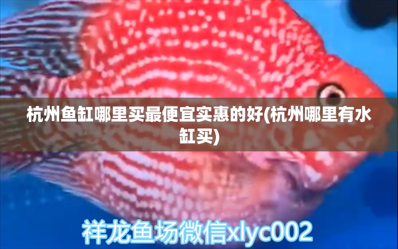 杭州魚缸哪里買最便宜實(shí)惠的好(杭州哪里有水缸買) 照明器材