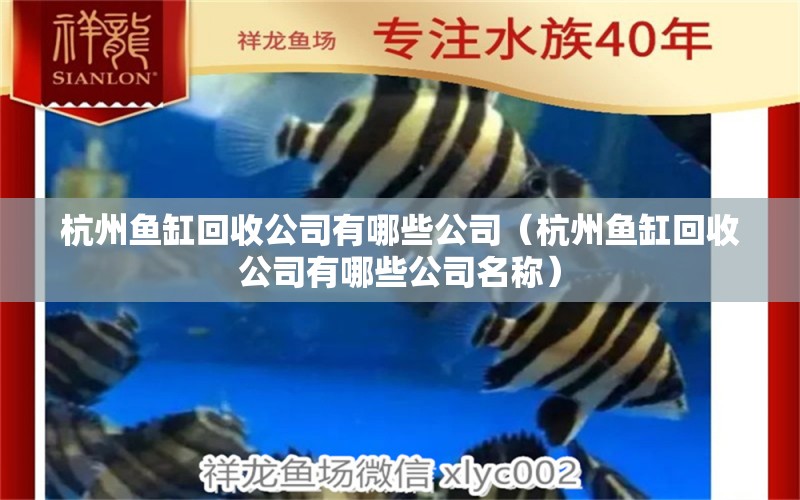 杭州魚缸回收公司有哪些公司（杭州魚缸回收公司有哪些公司名稱） 祥龍水族醫(yī)院