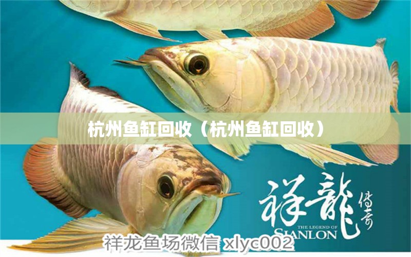 杭州魚(yú)缸回收（杭州魚(yú)缸回收） 其他品牌魚(yú)缸