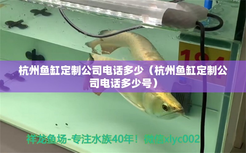 杭州魚缸定制公司電話多少（杭州魚缸定制公司電話多少號） 祥龍水族醫(yī)院