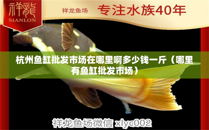 杭州魚(yú)缸批發(fā)市場(chǎng)在哪里啊多少錢(qián)一斤（哪里有魚(yú)缸批發(fā)市場(chǎng)） 紅眼黃化幽靈火箭魚(yú)|皇家火箭魚(yú)