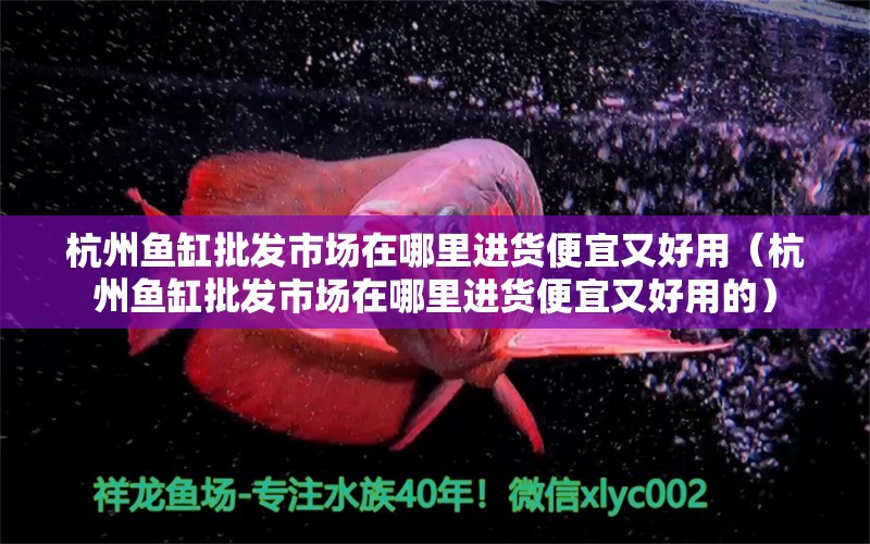 杭州魚缸批發(fā)市場在哪里進貨便宜又好用（杭州魚缸批發(fā)市場在哪里進貨便宜又好用的） 祥龍水族醫(yī)院