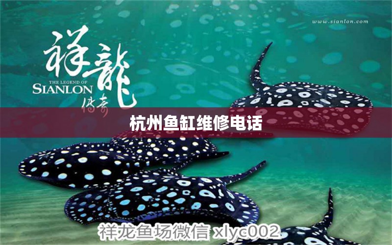 杭州魚缸維修電話 其他品牌魚缸