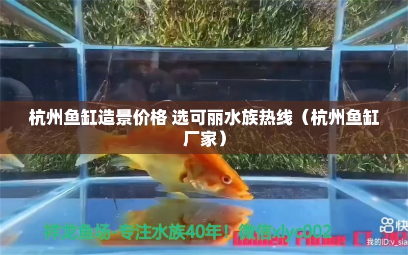 杭州魚(yú)缸造景價(jià)格 選可麗水族熱線（杭州魚(yú)缸廠家） 仟湖