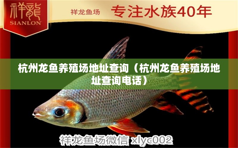 杭州龍魚養(yǎng)殖場(chǎng)地址查詢（杭州龍魚養(yǎng)殖場(chǎng)地址查詢電話）