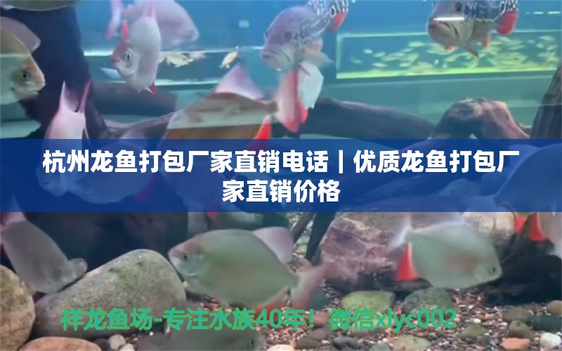 杭州龍魚打包廠家直銷電話｜優(yōu)質(zhì)龍魚打包廠家直銷價(jià)格 胭脂孔雀龍魚