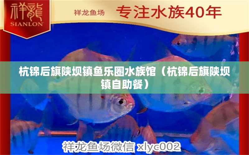 杭錦后旗陜壩鎮(zhèn)魚(yú)樂(lè)圈水族館（杭錦后旗陜壩鎮(zhèn)自助餐）