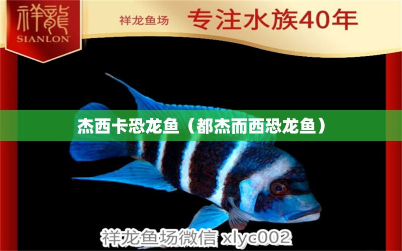 杰西卡恐龍魚（都杰而西恐龍魚） 杰西卡恐龍魚