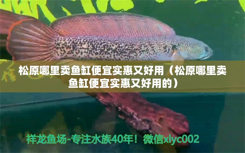 松原哪里賣(mài)魚(yú)缸便宜實(shí)惠又好用（松原哪里賣(mài)魚(yú)缸便宜實(shí)惠又好用的） 祥龍超血紅龍魚(yú)