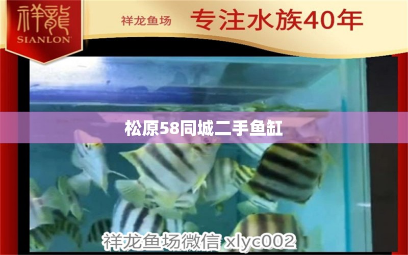 松原58同城二手魚缸 其他品牌魚缸