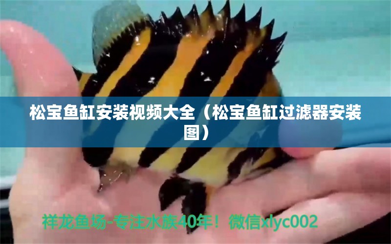 松寶魚缸安裝視頻大全（松寶魚缸過濾器安裝圖）