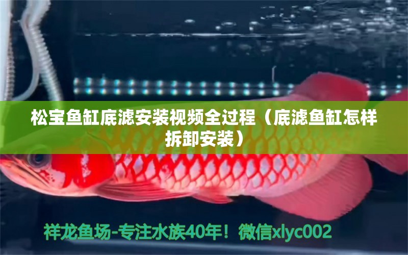 松寶魚缸底濾安裝視頻全過程（底濾魚缸怎樣拆卸安裝） 飛鳳魚苗