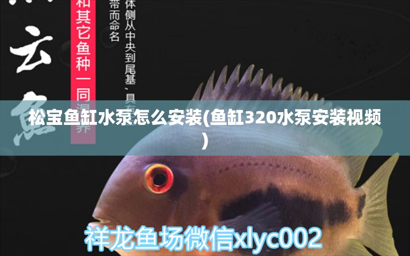 松寶魚缸水泵怎么安裝(魚缸320水泵安裝視頻) 魚缸水泵