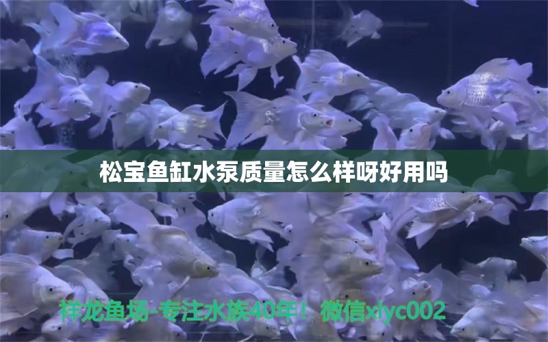 松寶魚缸水泵質(zhì)量怎么樣呀好用嗎