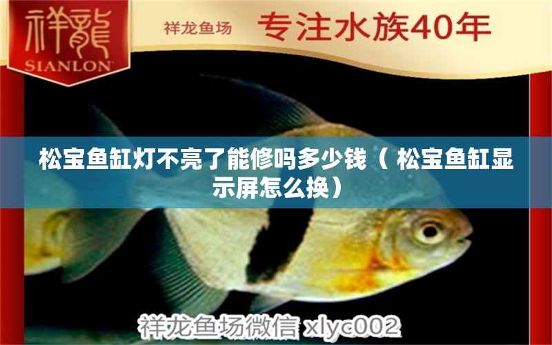 松寶魚缸燈不亮了能修嗎多少錢（ 松寶魚缸顯示屏怎么換） 水草 第1張