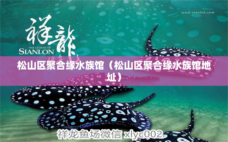 松山區(qū)聚合緣水族館（松山區(qū)聚合緣水族館地址） 全國(guó)水族館企業(yè)名錄