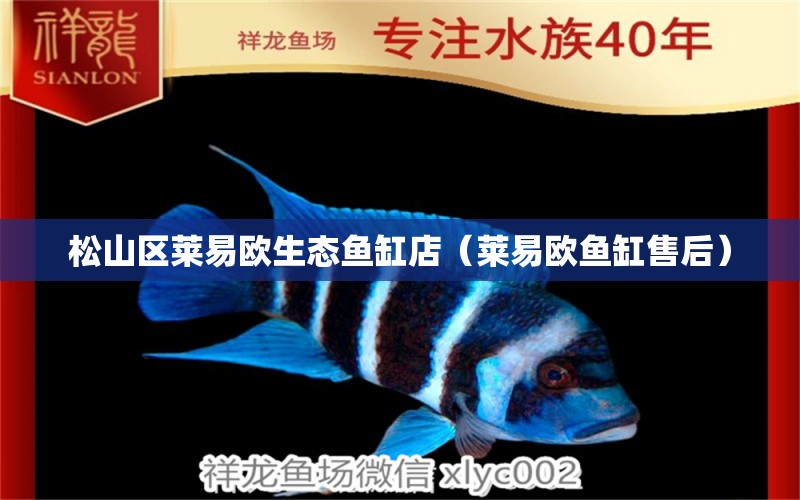 松山區(qū)萊易歐生態(tài)魚缸店（萊易歐魚缸售后） 全國(guó)水族館企業(yè)名錄