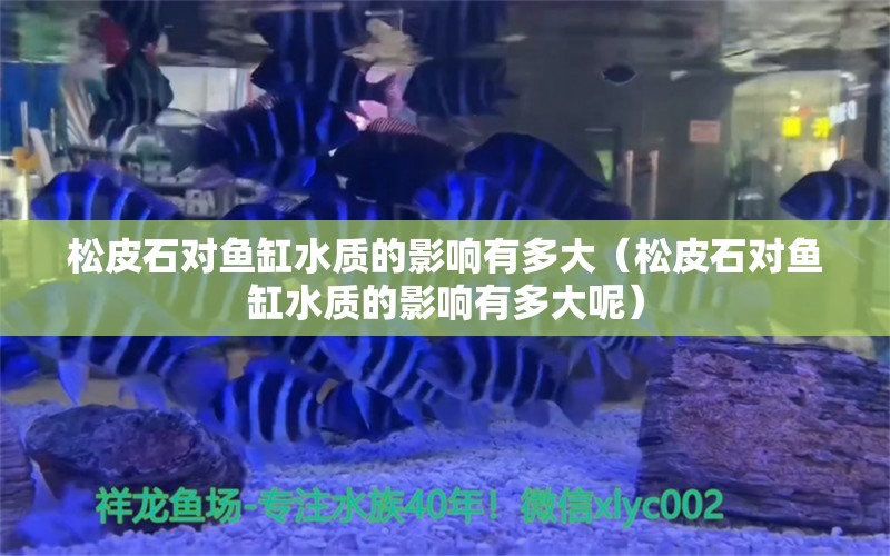 松皮石對(duì)魚(yú)缸水質(zhì)的影響有多大（松皮石對(duì)魚(yú)缸水質(zhì)的影響有多大呢） 其他品牌魚(yú)缸