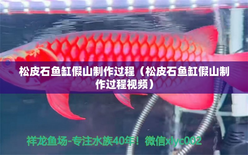 松皮石魚缸假山制作過程（松皮石魚缸假山制作過程視頻）