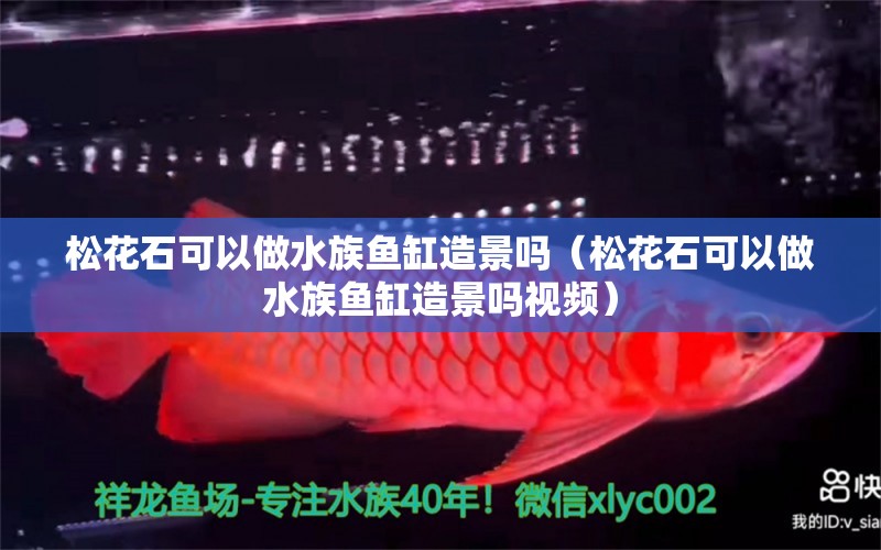 松花石可以做水族魚缸造景嗎（松花石可以做水族魚缸造景嗎視頻）