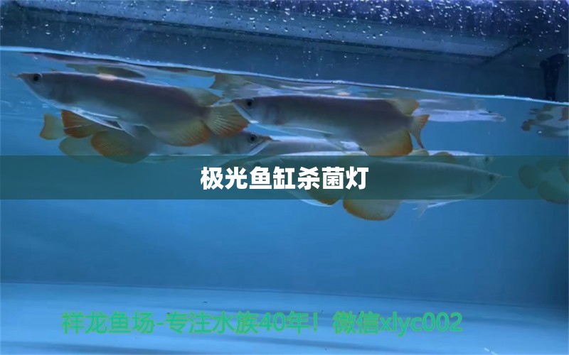 極光魚缸殺菌燈 廣州水族器材濾材批發(fā)市場