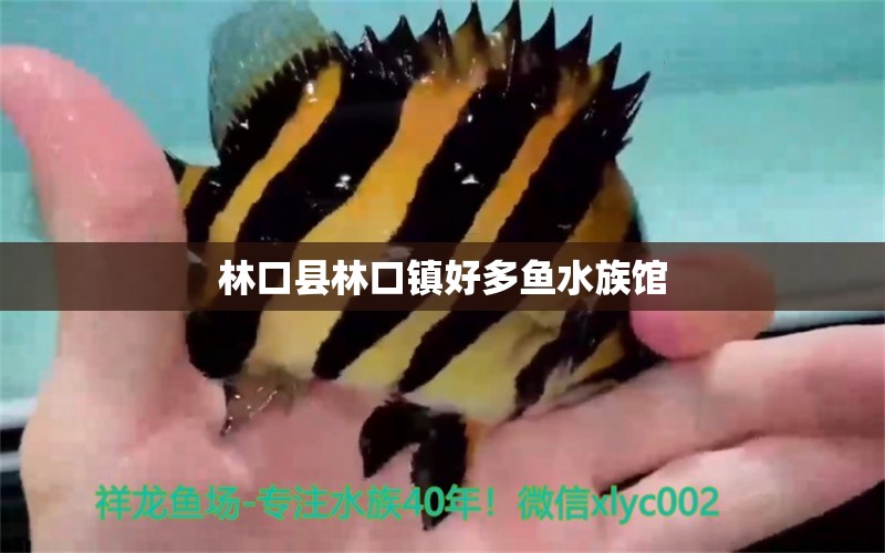 林口縣林口鎮(zhèn)好多魚水族館 全國水族館企業(yè)名錄