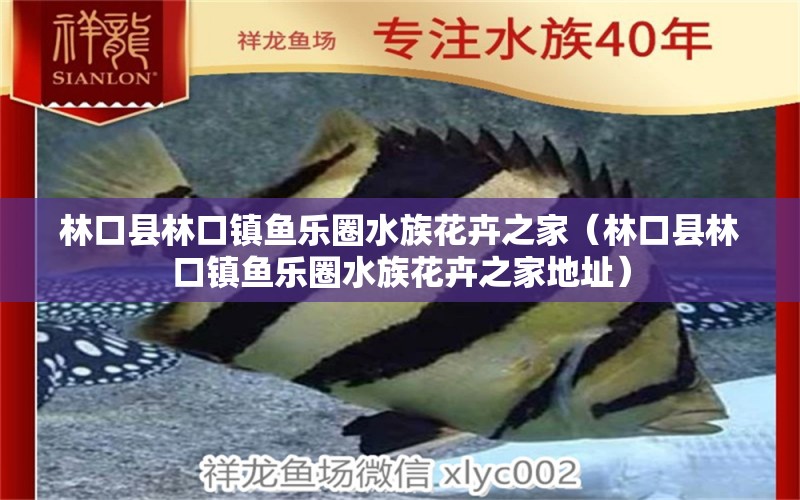 林口縣林口鎮(zhèn)魚樂圈水族花卉之家（林口縣林口鎮(zhèn)魚樂圈水族花卉之家地址）