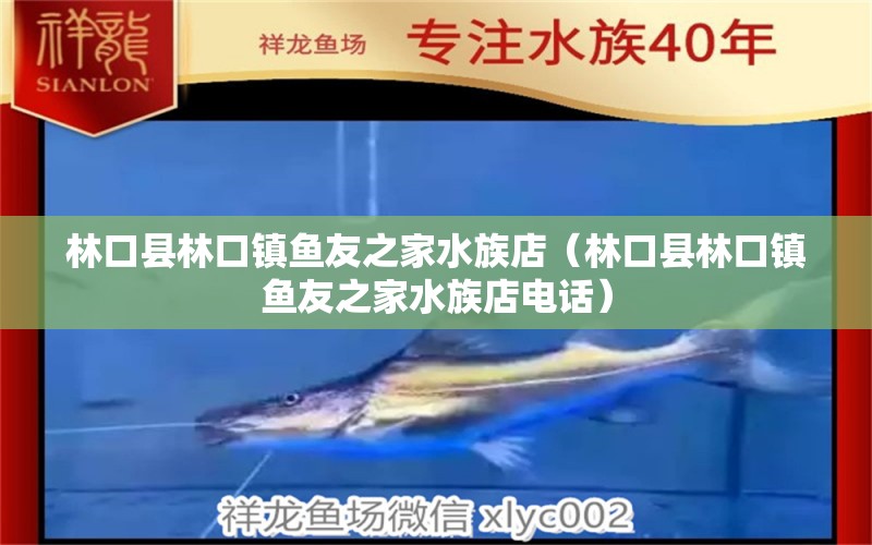 林口縣林口鎮(zhèn)魚友之家水族店（林口縣林口鎮(zhèn)魚友之家水族店電話） 全國水族館企業(yè)名錄