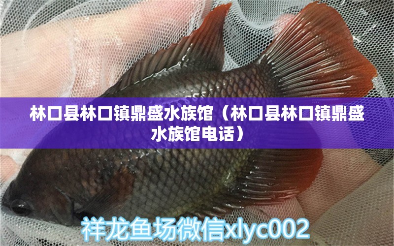 林口縣林口鎮(zhèn)鼎盛水族館（林口縣林口鎮(zhèn)鼎盛水族館電話）